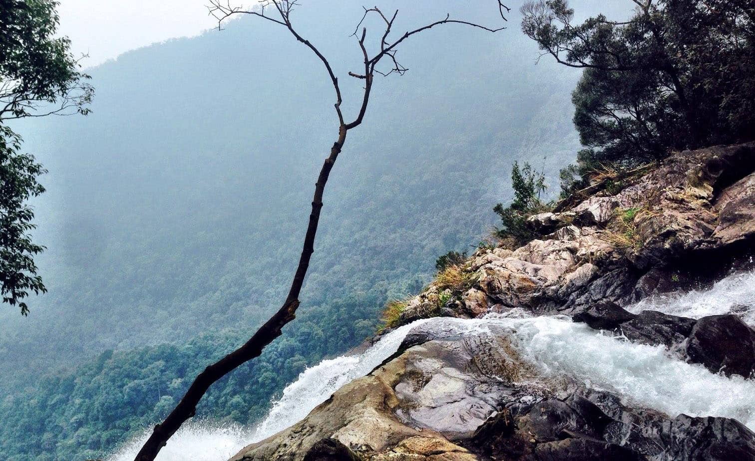 Bach Ma National Park Bach Ma National Park