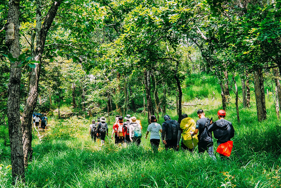Ta Nang - Phan Dung, the most scenic trekking route in Vietnam Ta Nang - Phan Dung, the most scenic trekking route in Vietnam