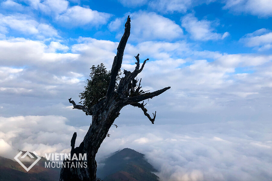 the heaven of cloud in Lao Than mountain the heaven of cloud in Lao Than mountain