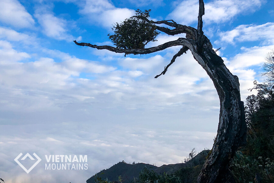 the heaven of cloud in Lao Than mountain the heaven of cloud in Lao Than mountain