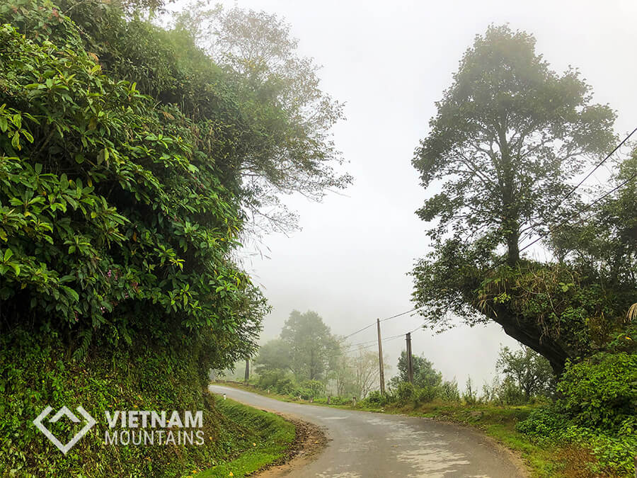 Nature in Y Ty - Lao Than mountain Nature in Y Ty - Lao Than mountain