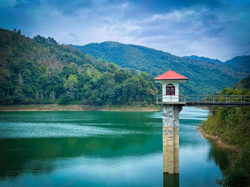 The Best time to see Maple tree in in northern Vietnam