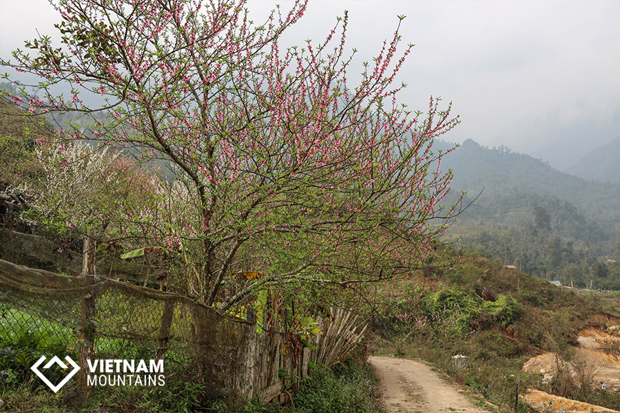 Nam Kang Ho Tao Mountain - The Forgotten Legend