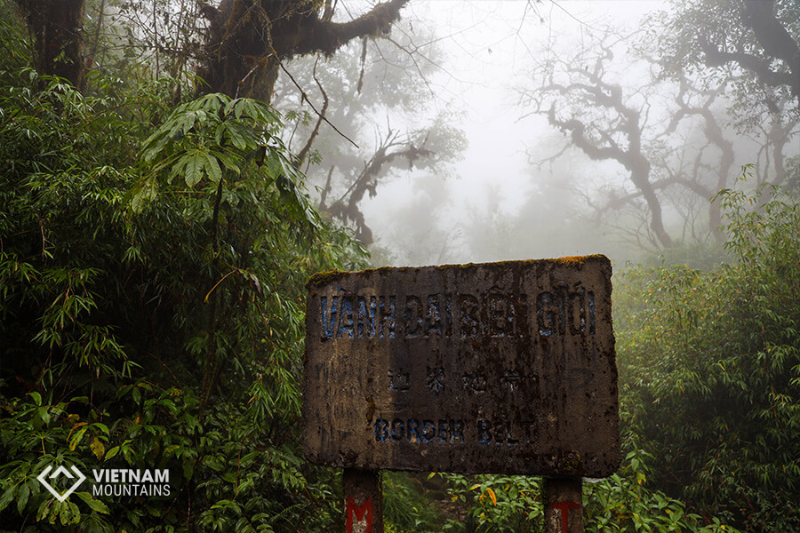Majestic Forest in PoMaLung mountain