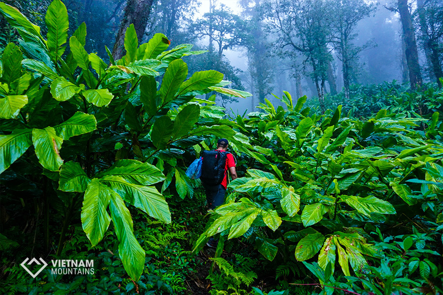 Conquer Po Ma Lung mountain