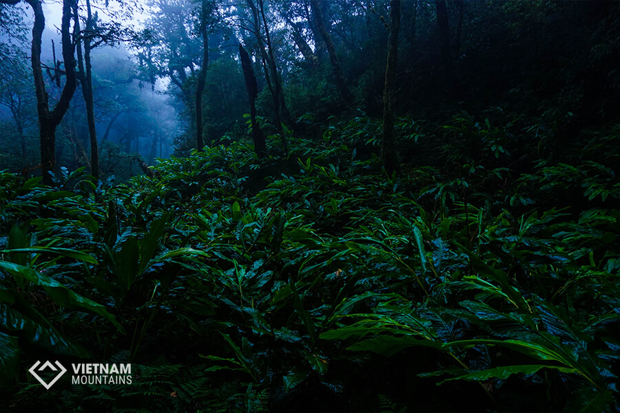 Conquer Po Ma Lung mountain