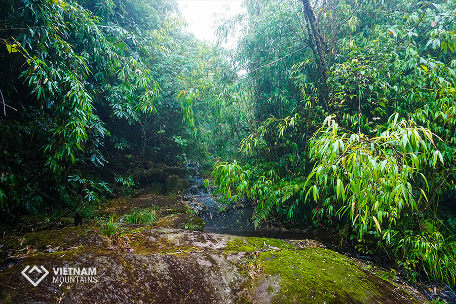 Conquer Po Ma Lung mountain