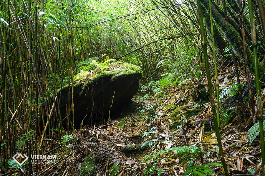 Conquer Po Ma Lung mountain
