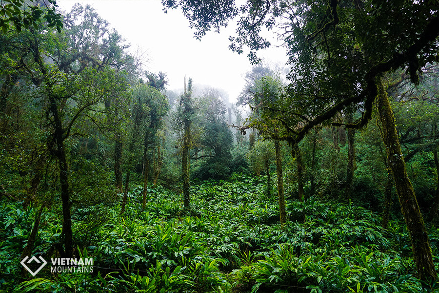 Conquer Po Ma Lung mountain