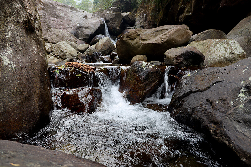 Putaleng Mountain - Deep into the Jungle Putaleng Mountain - Deep into the Jungle