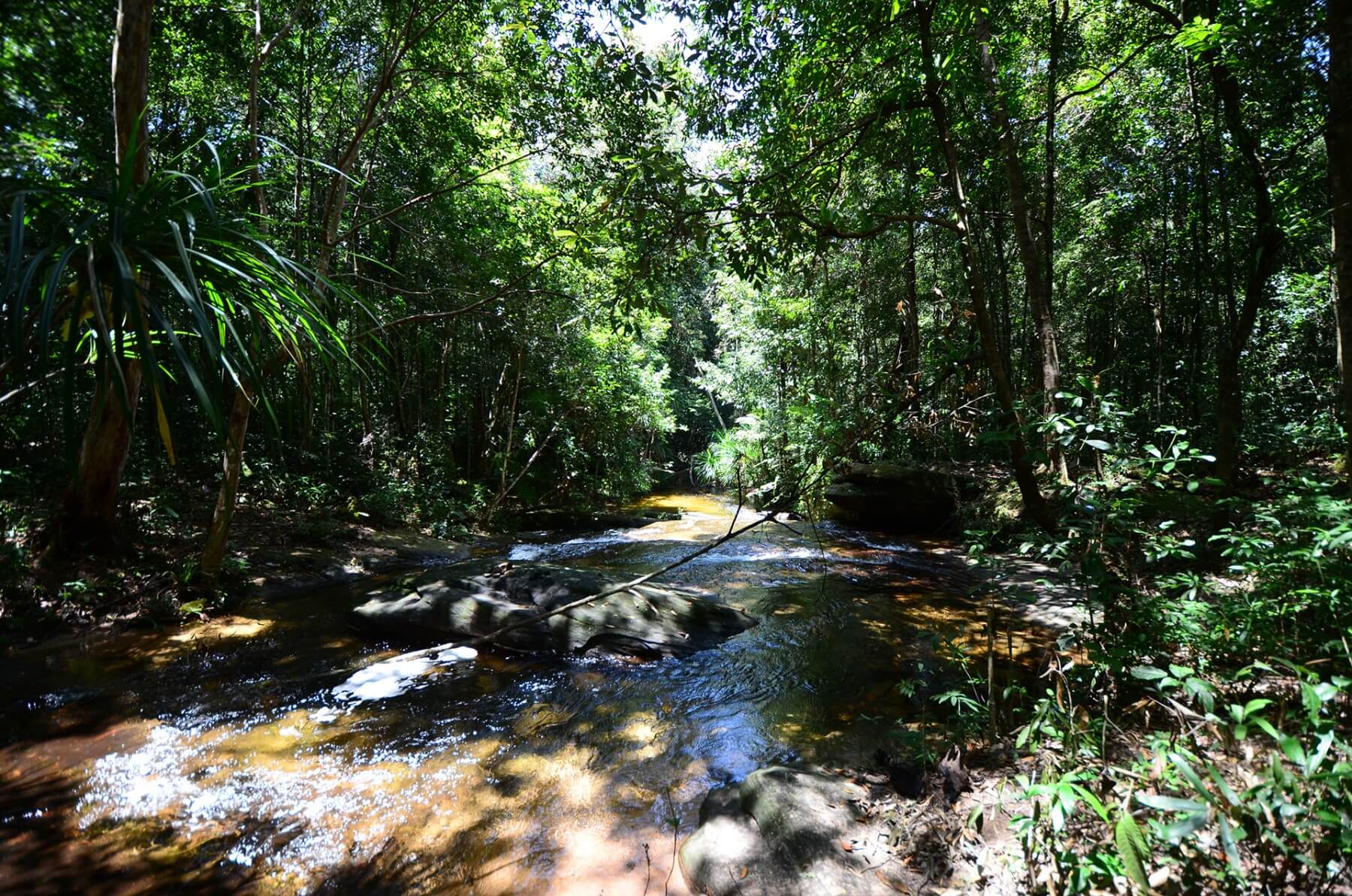 Phú Quốc National Park Phú Quốc National Park