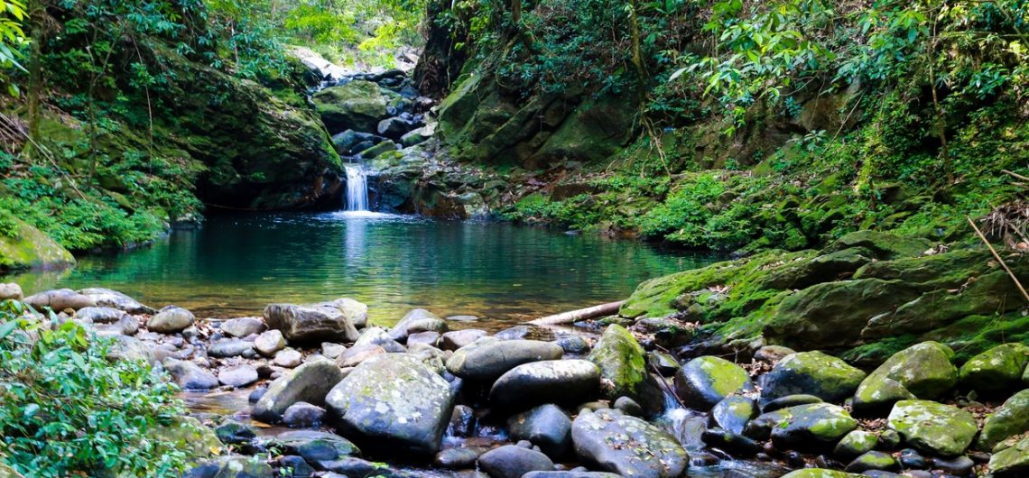 Bach Ma National Park