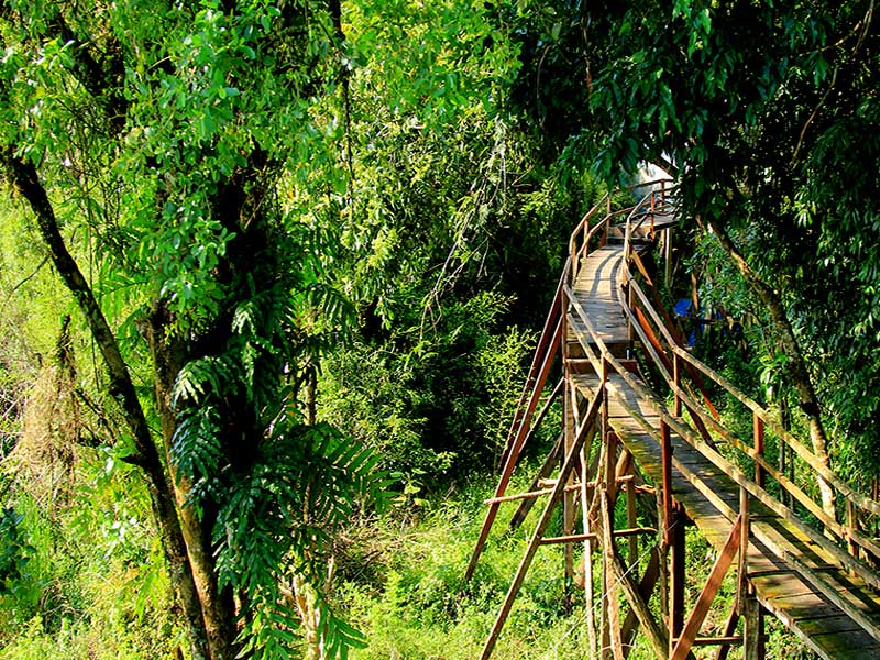 Cat Tien National Park